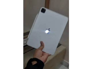 Apple ipad pro: 1TB, FREE- Apple pencil