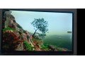 42-inch-android-sony-panel-led-tv-small-0