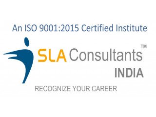 MIS Certification Training, Connaught Place, Delhi, SLA Analytics Learning, Power BI, Excel Institue, SQL / VBA Course,