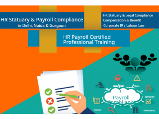 HR Training Course in Delhi, Noida, Gurgaon, SLA Institute, Papaya Global  Payroll Software Certification