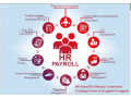 hr-training-course-in-noida-delhi-noida-sla-institute-kronos-payroll-certification-small-0