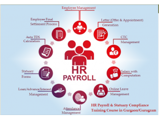HR Training Course in Noida, Delhi, Noida, SLA Institute, Kronos Payroll Certification