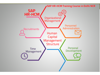 SAP HCM Classes in Delhi, Faridabad, SLA Human Resource Institute, Free HR Analytics Training, HR Certification,