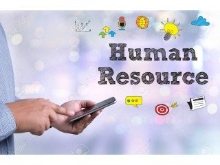 HR Course in Delhi, SLA Human Resource Institute, Subhash Nagar, HR Analytics, Payroll Training Certification,