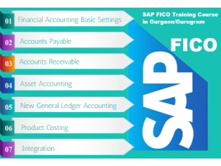 SAP Hana Finance Program in Delhi, SLA Classes, GST,  SAP FICO Training Institute,