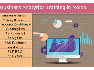 Business Analytics Online Course - Delhi, Noida Ghaziabad "SLA Consultants Noida"