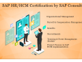 sap-hcm-coaching-in-delhi-faridabad-sla-human-resource-institute-free-hr-analytics-training-hr-course-small-0