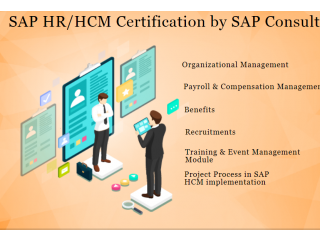 SAP HCM Coaching in Delhi, Faridabad, SLA Human Resource Institute, Free HR Analytics Training, HR Course,