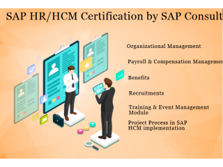 SAP HCM Training in Delhi, Faridabad, SLA Human Resource Institute, Free HR Analytics Course, HR Certification,