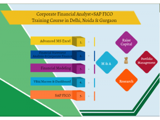 Financial Analyst Program in Delhi, "SLA Consultants" Data Modelling Classes, Equity, Valuation, Corporate Finance Certification,