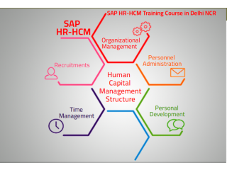 SAP HCM Training Course, Delhi, Noida, Gurgaon, "SLA Consultants", HR Generalist,  Human Resource Certification Institute,