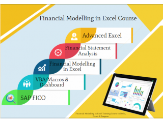 Financial Modeling Training,100% Financial Analyst Job, Salary Upto 6 LPA, SLA, Delhi, Noida, Ghaziabad.