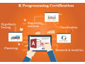 r-program-training-course-delhi-faridabad-ghaziabad-100-job-support-with-best-salary-offer-small-0
