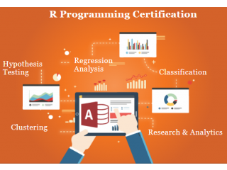 R Program Training Course, Delhi, Faridabad, Ghaziabad, 100% Job Support with Best Salary Offer