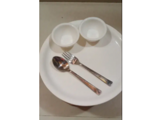 Dinner plate ,spoon,Fork,Bowl