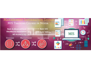 Advanced MIS Training Course, Delhi, Noida, Ghaziabad, 100% Job Support with Best Job & Salary Offer, Free Alteryx Certification,