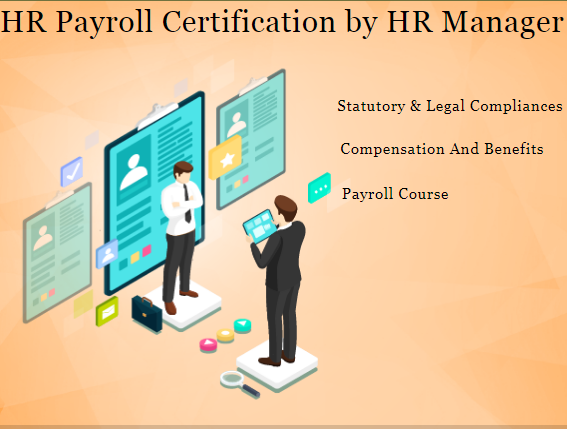 online-hr-course100-job-salary-upto-3-lpa-sla-human-resource-training-classes-payroll-sap-hcm-delhi-noida-ghaziabad-gurgaon-big-0