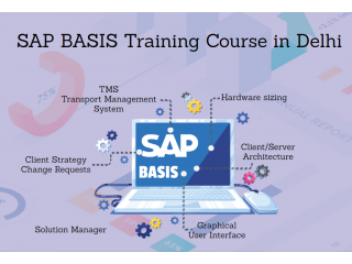 Online SAP Basis Certification in Delhi, SLA Consultants, Best ERP Training Institute, 100% Job Support,