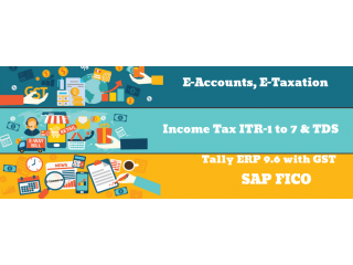 Best BAT & e-Accounting Certification in Delhi, Ghaziabad, SLA Classes, BAT Course, GST Training Institute, 2023 Offer,