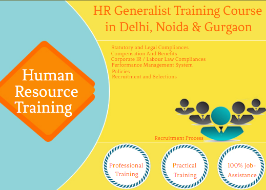 online-hr-course100-job-salary-upto-63-lpa-sla-human-resource-training-classes-payroll-sap-hcm-delhi-noida-ghaziabad-gurgaon-big-0