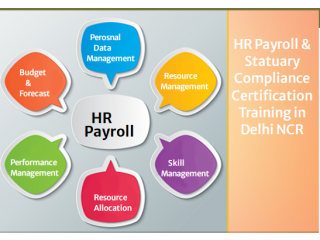 HR Payroll Coaching Classes in Delhi, Ghaziabad, Noida, SLA Classes, SAP HCM Certification, HR Course, 2023 Offer, Best Practical Course,