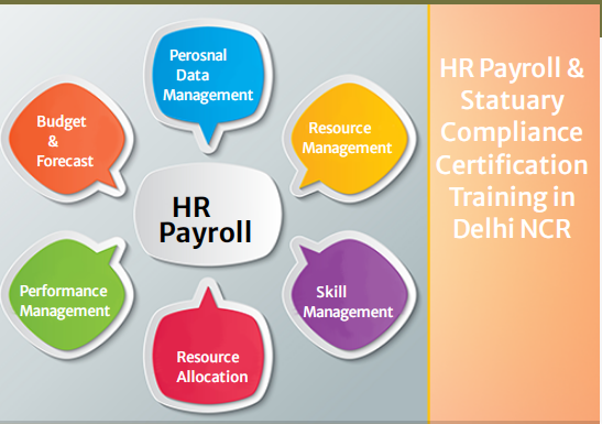 hr-payroll-coaching-classes-in-delhi-ghaziabad-noida-sla-classes-sap-hcm-certification-hr-course-2023-offer-best-practical-course-big-0