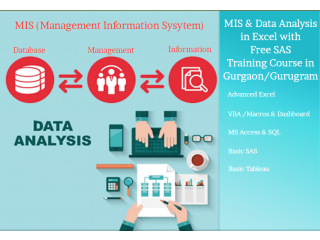 Advanced MIS Training Course, Delhi, Noida, Ghaziabad, SLA Consultants, Best Microsoft Certification Analytics Institute,