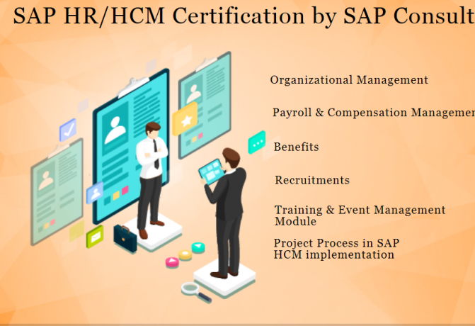 sap-hcm-training-instiutte-delhi-noida-gurgaon-sla-consultants-hr-generalist-human-resource-certification-classes-big-0