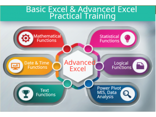 Job Oriented Excel Classes in Delhi, Noida, Ghaziabad, MIS Course, VBA Macros SQL, Free MNC Placement, Jan 23 Offer, 100% Job,