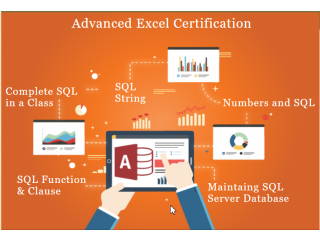 MS Excel & MIS Training Course Online with Certification - Delhi & Noida With 100% Job in MNC - Best Offer