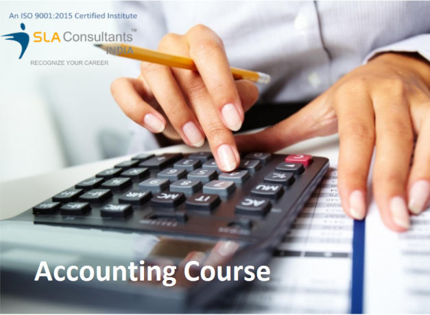 accounting-training-course-rajender-nagar-delhi-sla-learning-sap-fico-tally-prime-erp-96-gst-institute-big-0
