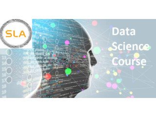 Boost Your Career with SLA Consultants India's Data Science Course, Guaranteeing 100% Job Placement