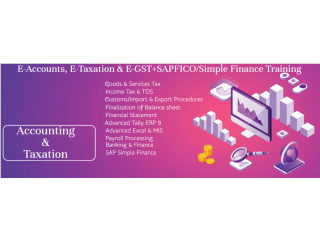 Accounting Training Course in Delhi at SLA Institute with Free Tally, GST, SAP FICO Certification, 100% Job Placement