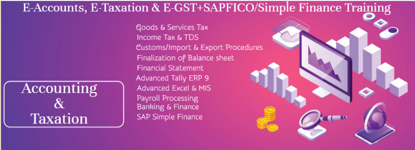 accounting-training-course-in-delhi-at-sla-institute-with-free-tally-gst-sap-fico-certification-100-job-placement-big-0