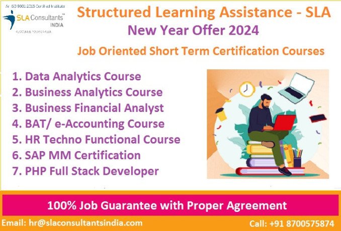 google-business-analyst-professional-certificate-skills-based-career-2024-by-structured-learning-assistance-sla-analytics-big-0