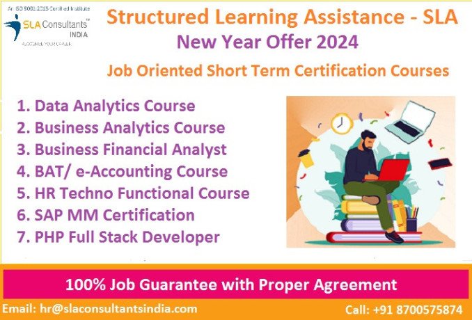 data-analytics-certification-course-100-job-by-sla-institute-salary-upto-9-lpa-sla-analyst-training-sql-power-bi-python-classes-in-delhi-big-0