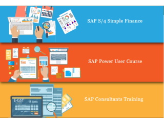 SAP FICO Course in Delhi, SLA Consultants Institute, [100% Job, Update New Skill in '24] Google SAP Certification.