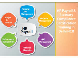 HR Payroll Institute in Delhi,  SLA Classes, SAP HCM Certification in Gurgaon, HR Training Course in Noida, 2024 Offer