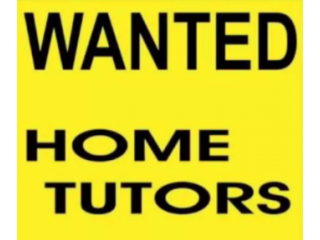 WANTED FEMALE MALAYALI TUTION TEACHER FOR 5 YEAR BABY GIRL AT HOME