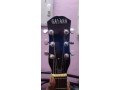 new-guitar-small-2