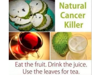 9110200700 Cancer killer fruits Cancer Treatment Fruit