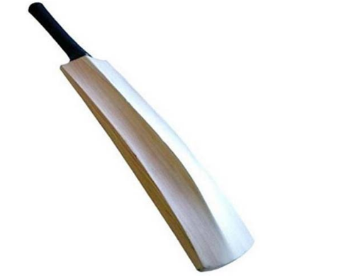 willcraft-kashmir-willow-cricket-bat-big-0