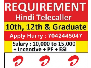 Require Boys and Girls in Hindi Inbound Call Center Customer Service