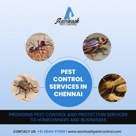 pest-control-services-in-chennai-aavinashpestcontrol-big-0