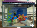 1-feet-fish-tank-with-cover-and-poster-with-all-accessories-here-small-1