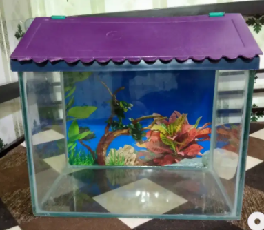 1-feet-fish-tank-with-cover-and-poster-with-all-accessories-here-big-0