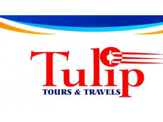 Tulip Tours and Travels