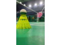 badminton-sports-junior-coach-small-0